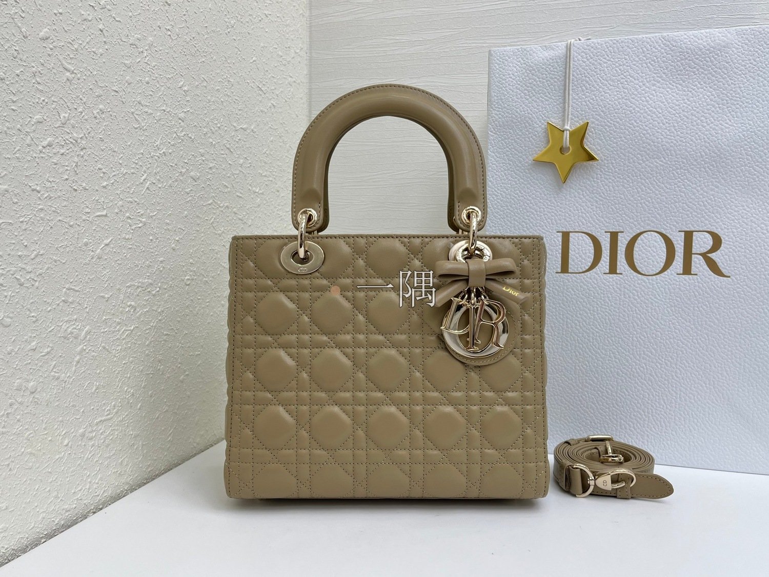 迪奧 DIOR 精品包包