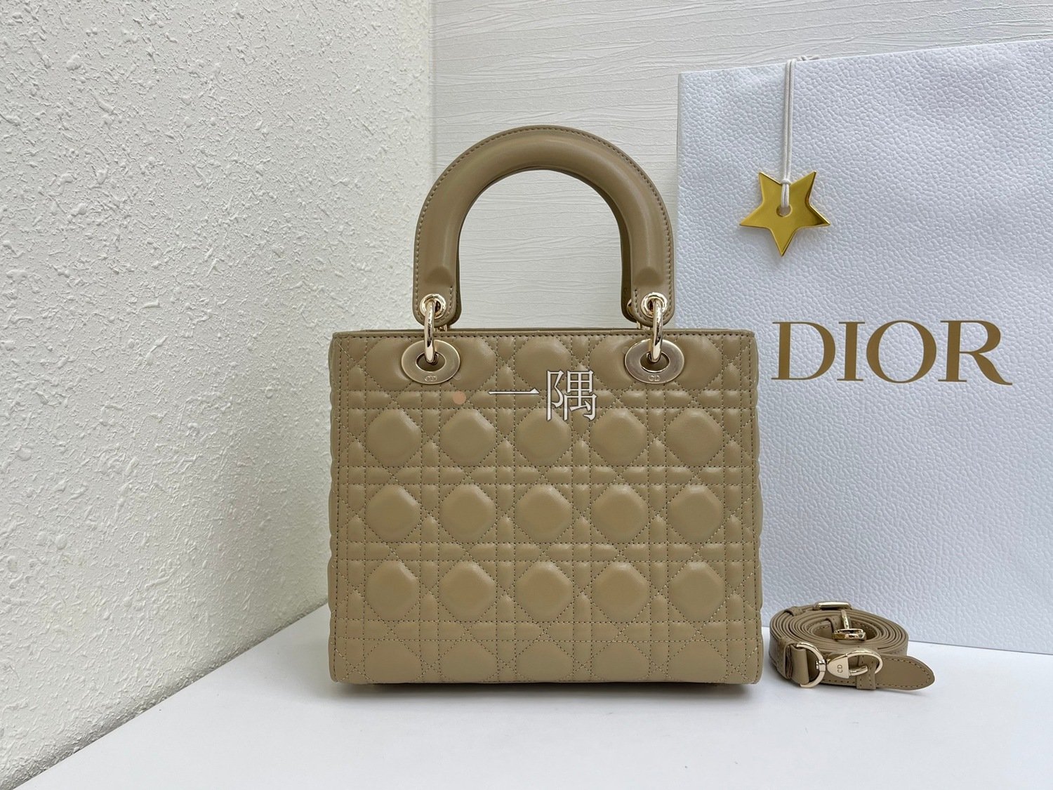 迪奧 DIOR 精品包包